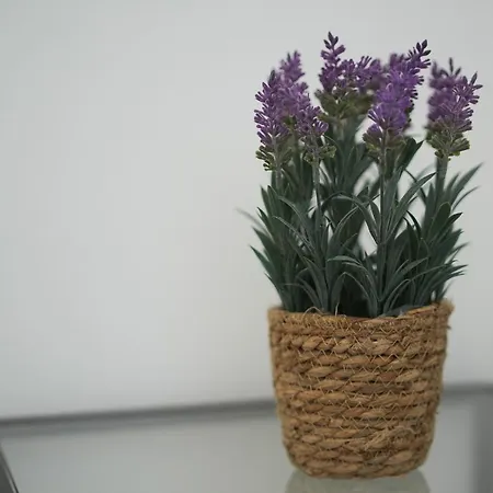 Appartement Wonderful Da Rocha Flat By Lovelystay Portimão