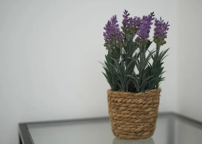 Appartement Wonderful Da Rocha Flat By Lovelystay Portimão