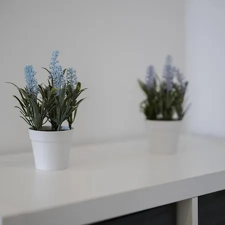 Wonderful Da Rocha Flat By Lovelystay *